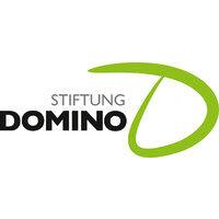 stiftung domino logo image