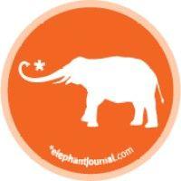 elephant journal logo image