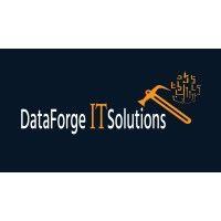 dataforge it solutions logo image