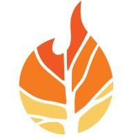 second fire project logo image