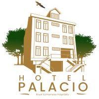 hotel palacio logo image