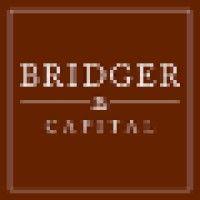 bridger capital llc logo image