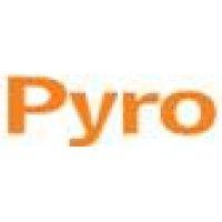 pyro networks logo image