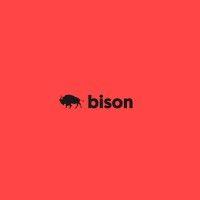 bison studio logo image