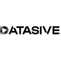 datasive logo image