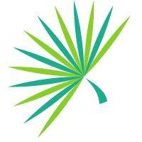 palmetto capital group logo image