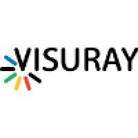 visuray logo image