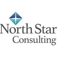 north star consulting, inc. logo image