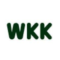 wong's kong king international(holdings) ltd. logo image