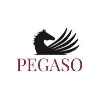 università telematica pegaso logo image