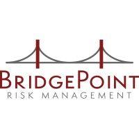 bridgepoint risk management logo image