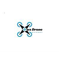 dws drone school