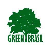 green brasil consultoria assessoria ambiental logo image