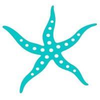 starfish foundation logo image