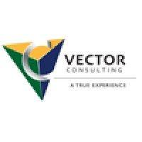 vector consulting, inc