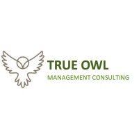 true owl management consulting logo image