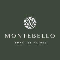 montebello smart city logo image