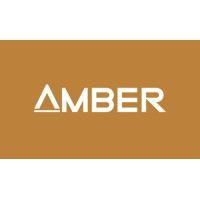 amber capital hong kong ltd. logo image