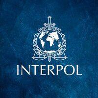 interpol logo image