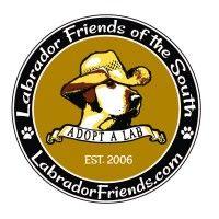 labrador friends of the south, inc. logo image