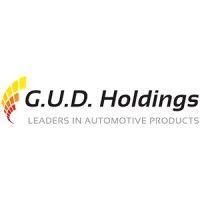 g.u.d. holdings (pty) ltd