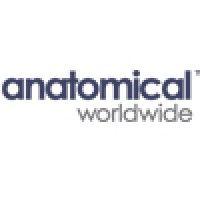 anatomical worldwide