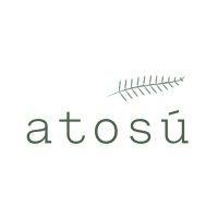 atosú leadership institute logo image