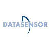 datasensor india private limited logo image