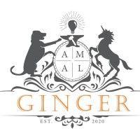 ginger brisbane logo image