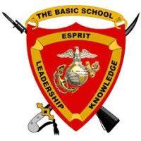 the basic school