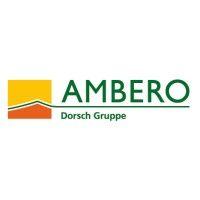 ambero consulting gesellschaft mbh logo image