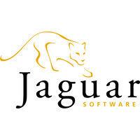 jaguar software logo image