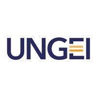 un girls'​ education initiative (ungei) logo image