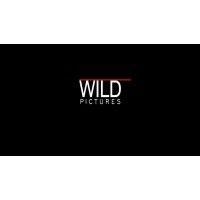 wild pictures logo image