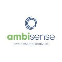 ambisense logo image