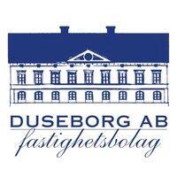 duseborg ab logo image