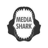 media shark logo image