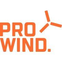 professional wind services logo image