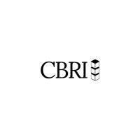 cbdc blockchain research institute (cbri) logo image