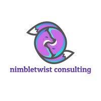 nimbletwist consulting logo image