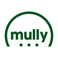 mullybox logo image