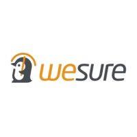 wesure logo image