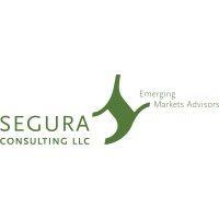 segura consulting llc logo image