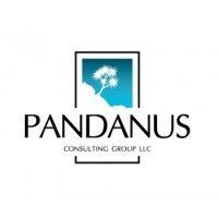 pandanus consulting group llc logo image