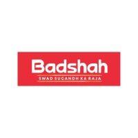 badshah masala logo image