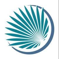 palmetto counseling & consulting services, llcs, llc logo image