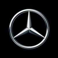 mercedes-benz botany logo image