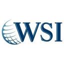 logo of Wsi World