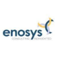 the enosys group logo image