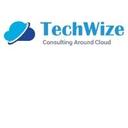 logo of Techwize